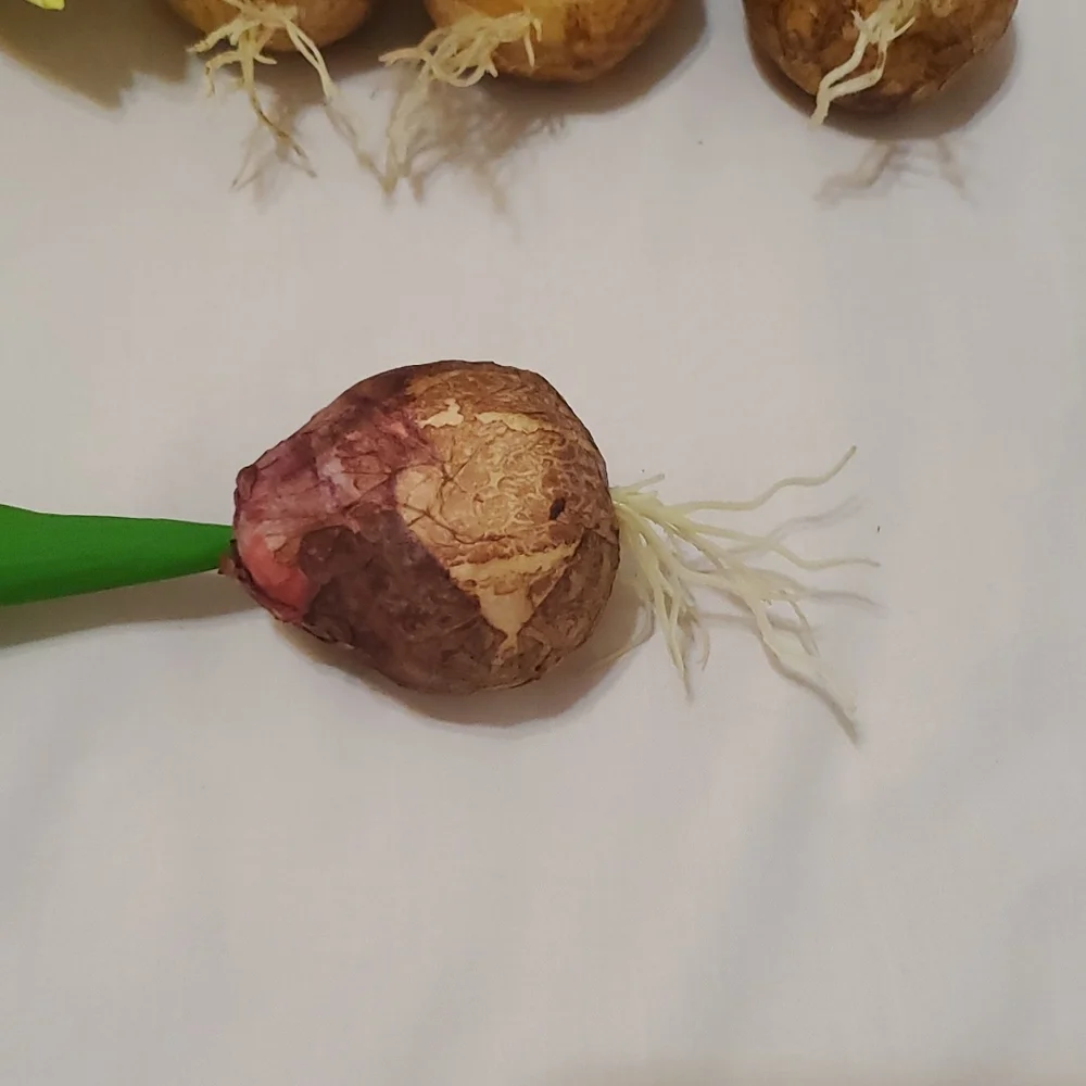 18 Faux Yellow Tulip Bulbs